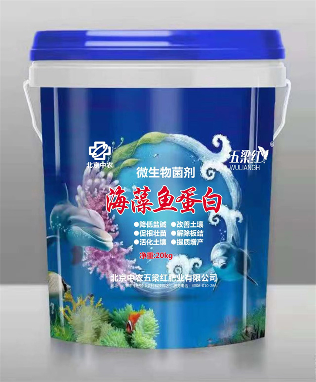 海藻鱼蛋白